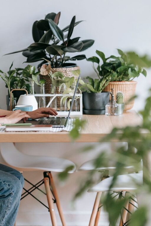 How to Create a Relaxing Home Office Environment for Better Productivity